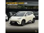 BYD Dolphin Mini - Miniatura 1