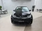 BYD Dolphin - Miniatura 1
