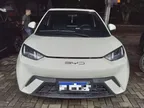 BYD Dolphin Mini - Miniatura 2