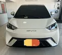 BYD Dolphin Mini - Miniatura 4