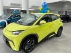 BYD Dolphin Mini - Miniatura 7