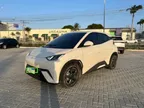 BYD Dolphin Mini - Miniatura 3