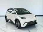 BYD Dolphin Mini - Miniatura 1