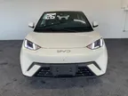 BYD Dolphin Mini - Miniatura 2