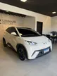BYD Dolphin Mini - Miniatura 4