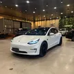 Tesla Model 3 - Miniatura 1