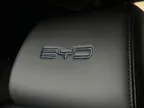 BYD Dolphin Mini - Miniatura 12