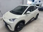 BYD Dolphin Mini - Miniatura 1
