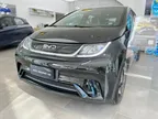 BYD Dolphin - Miniatura 13