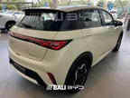 BYD Dolphin - Miniatura 1