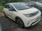 BYD Dolphin - Miniatura 20