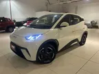 BYD Dolphin Mini - Miniatura 1