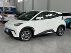 BYD Dolphin Mini - Miniatura 1