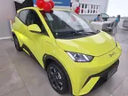 BYD Dolphin Mini - Miniatura 1