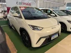 BYD Dolphin Mini - Miniatura 1