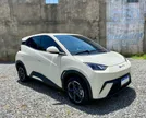 BYD Dolphin Mini - Miniatura 1