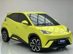 BYD Dolphin Mini - Miniatura 1