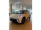 BYD Dolphin Mini - Miniatura 2