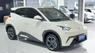 BYD Dolphin Mini - Miniatura 7