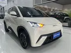 BYD Dolphin Mini - Miniatura 1