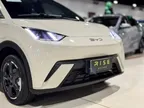BYD Dolphin Mini - Miniatura 12
