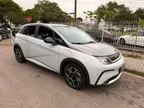 BYD Dolphin Plus - Miniatura 3