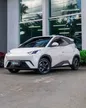 BYD Dolphin Mini - Miniatura 1