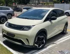 BYD Dolphin - Miniatura 1