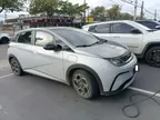 BYD Dolphin Plus - Miniatura 2
