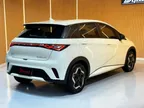 BYD Dolphin - Miniatura 6