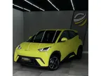 BYD Dolphin Mini - Miniatura 1
