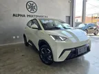 BYD Dolphin Mini - Miniatura 3