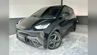BYD Dolphin Mini - Miniatura 1